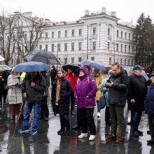 Per A. Paleckio palaikymo mitingą Vilniuje sulaikytas vyras