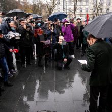 Per A. Paleckio palaikymo mitingą Vilniuje sulaikytas vyras