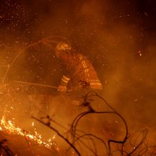 Ispanijos šiaurėje šėlsta miško gaisrai
