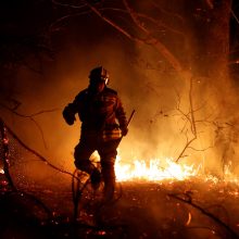 Ispanijos šiaurėje šėlsta miško gaisrai