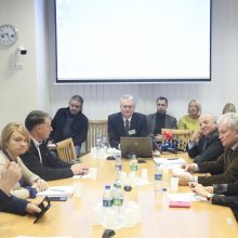 S. Jakeliūnas: Lietuvos bankas ir komerciniai bankai atsakingi dėl krizės