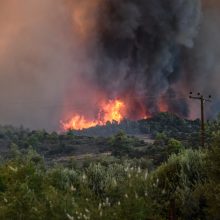 Miško gaisras Graikijos saloje privertė evakuoti du kaimus