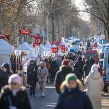 Jau prasidėjo: Palangą dvidešimtąjį kartą užkariauja mažoji žuvelė stinta