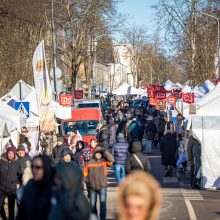 Jau prasidėjo: Palangą dvidešimtąjį kartą užkariauja mažoji žuvelė stinta