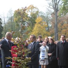 Lietuvoje prigijo ne tik princo Philipo medis, bet ir idėjos