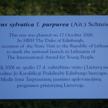 Lietuvoje prigijo ne tik princo Philipo medis, bet ir idėjos