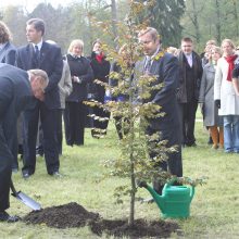 Lietuvoje prigijo ne tik princo Philipo medis, bet ir idėjos