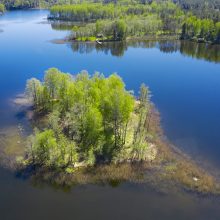 Fotomenininką R. Požerskį džiugina ir virtualios parodos