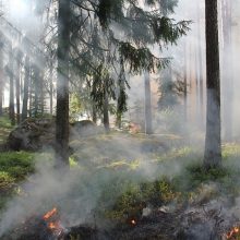 Miškų urėdija pirks naujus automobilius gaisrų gesinimui