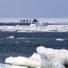 Prie Sachalino atitrūkus ledo lyčiai gelbėjama 600 žvejų