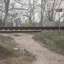 Kitąmet Vilnius turės pirmąjį pėsčiųjų tunelį po geležinkeliu