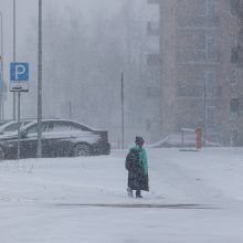 Sinoptikai: artimiausiomis dienomis sulauksime sniego, šalčio ir šilumos