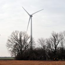 Seimui neužteko balsų patvirtinti naują saulės ir vėjo energetikos reguliavimą