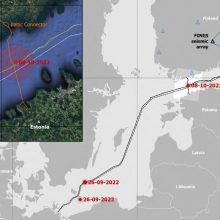Suomija įtaria, kad su dujotiekio pažeidimu susijęs kinų laivas