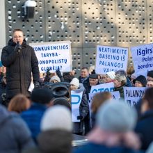 Š. Vaitkus: kova dėl mūsų baseino galutinai laimėta!