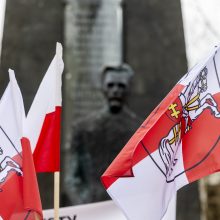 Dėl Trakų rajono švietimo įstaigų pertvarkos – protestas prie Vyriausybės 