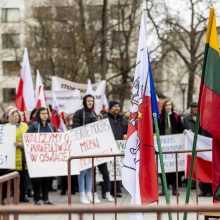 Dėl Trakų rajono švietimo įstaigų pertvarkos – protestas prie Vyriausybės 