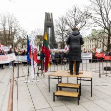 Dėl Trakų rajono švietimo įstaigų pertvarkos – protestas prie Vyriausybės 