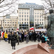 Dėl Trakų rajono švietimo įstaigų pertvarkos – protestas prie Vyriausybės 