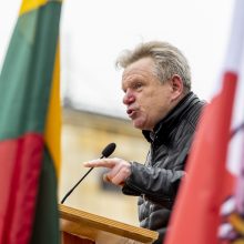 Dėl Trakų rajono švietimo įstaigų pertvarkos – protestas prie Vyriausybės 