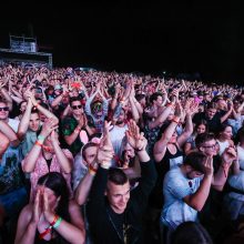 Festivalyje „Granatos Live“ apsilankė seksualinis išsišokėlis?