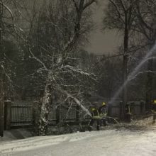 Ugniagesiai daugiau nei 150 kartų vyko šalinti nuvirtusių medžių