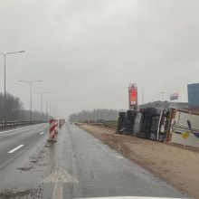 Kauno prieigose su vilkiku apsivertusius portugalus išgelbėjo lieknumas?