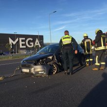 Islandijos plente susidūrė sunkvežimis ir lengvasis automobilis
