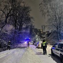 Antradienio vakarą Kaune virsta medžiai: vienas užvirto ant „Mercedes-Benz“ 