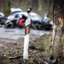 Vilniaus pakraštyje BMW rėžėsi į medį, iš automobilio liko metalo laužo krūva