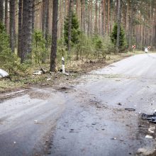 Vilniaus pakraštyje BMW rėžėsi į medį, iš automobilio liko metalo laužo krūva