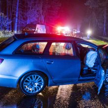 Nemenčinės plente susidūrė du „Audi“ automobiliai, avarijos kaltininkas – neblaivus 