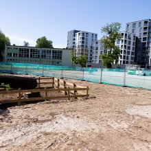 V. Benkunskas apie sostinės centre nukirstą šimtametį ąžuolą: tai vandalizmas ir nusikaltimas 