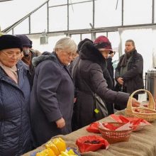 Advento akcentas – Biblijos augalų paroda VDU Botanikos sode