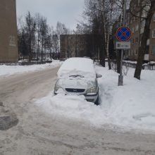 Kaunietis: gal žmonės pramogauja šiltuose kraštuose, kad jų automobiliai paskendę pusnyse?