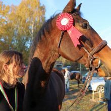 Žemaitukų šlovė: nuo istorinių mūšių iki šiandienos „Jotvingių taurės“  