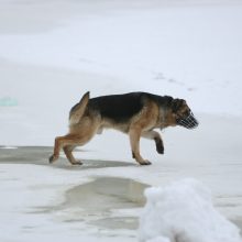 Žiemos pramogos: užšalę ežerai virto ledo čiuožyklomis