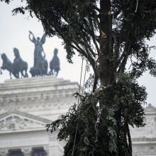 Italai vėl nepatenkinti Kalėdų egle Romos centre