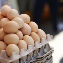 Danija rado daugiau užterštų kiaušinių