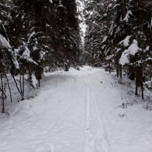 Ministerija: miškų savininkai sulauks pagalbos dėl „Natura 2000“ reikalavimų 