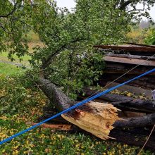 Ugniagesiai gelbėtojai apie 20 kartų vyko padėti dėl vėjo nulaužtų medžių