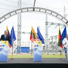 Europos Komisijos pirmininkė apie Lietuvos ekonomikos gaivinimo planą: jis yra puikus