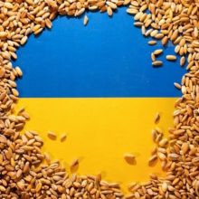 EK nusprendė nepratęsti ukrainietiškų grūdų importo embargo