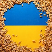 Rusai iš okupuotų Ukrainos teritorijų išvežė beveik 5 mln. tonų grūdų