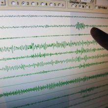 Pietų Čilę supurtė 6,1 balo žemės drebėjimas