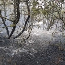 Miško gaisravietėse miškininkai ir ugniagesiai budi ir naktimis