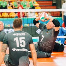 Europos tinklinio sėdint čempionate – kovingas lietuvių pasirodymas: iki tikslo pritrūko taško