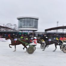 Vasario 1-ąją – tradicinės žirgų lenktynės „Sartai 2020“