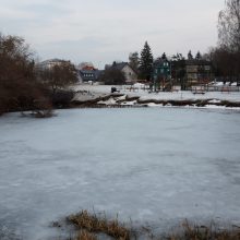 Lietuvoje vietomis atšals iki 10-12 laipsnių šalčio