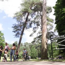 Panemunė surengė puotą miško gurmanams: buvo sužavėti net jos senbuviai